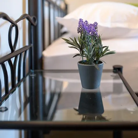 Bellezza Villa Čilipi